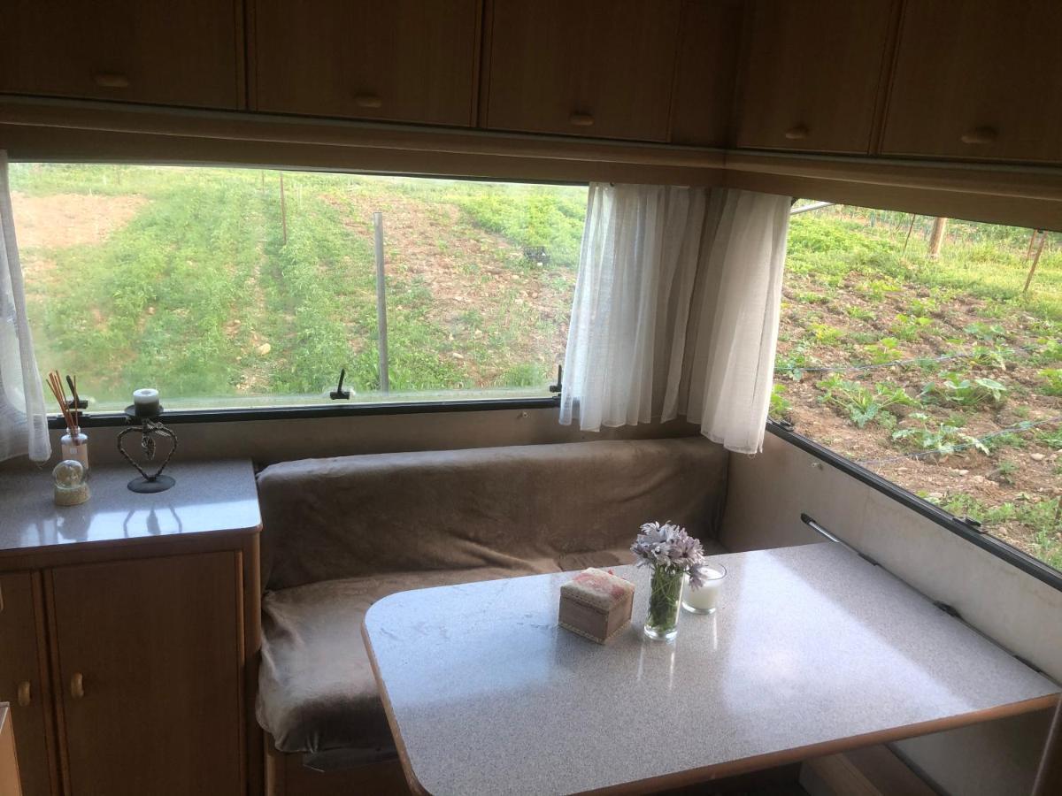 La Ferme De Rotani 호텔 아렐리아 외부 사진