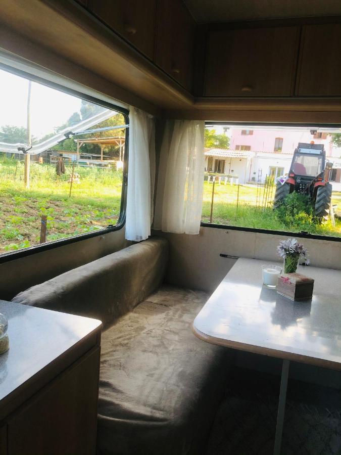La Ferme De Rotani 호텔 아렐리아 외부 사진