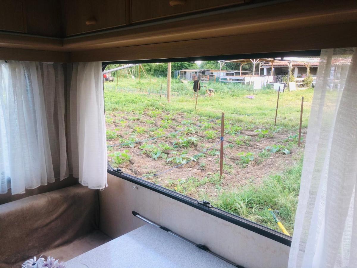 La Ferme De Rotani 호텔 아렐리아 외부 사진