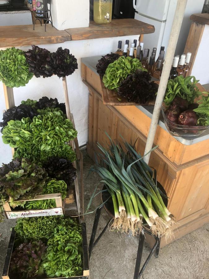 La Ferme De Rotani 호텔 아렐리아 외부 사진